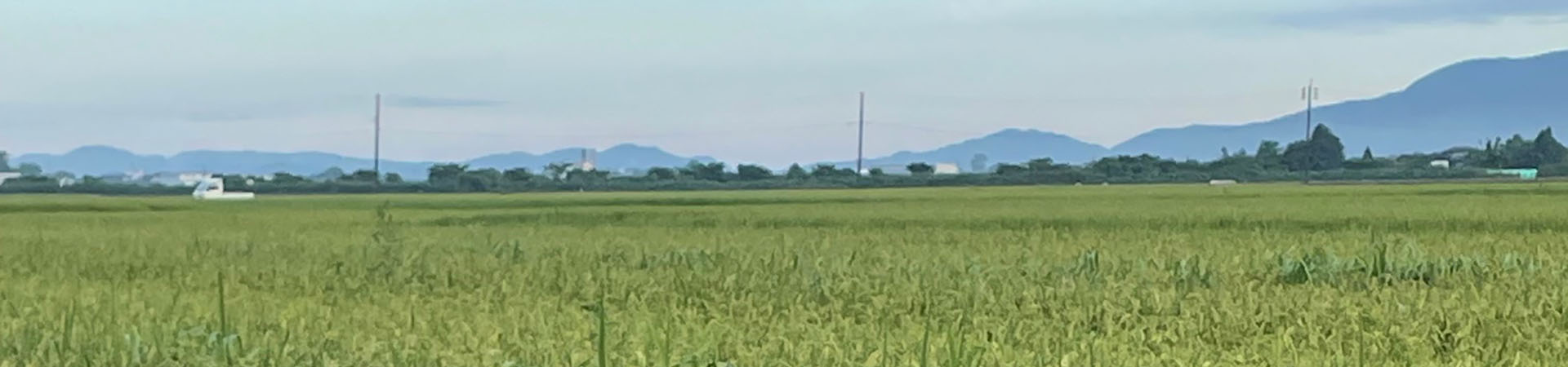 他　新潟県内｜鍵のトラブル